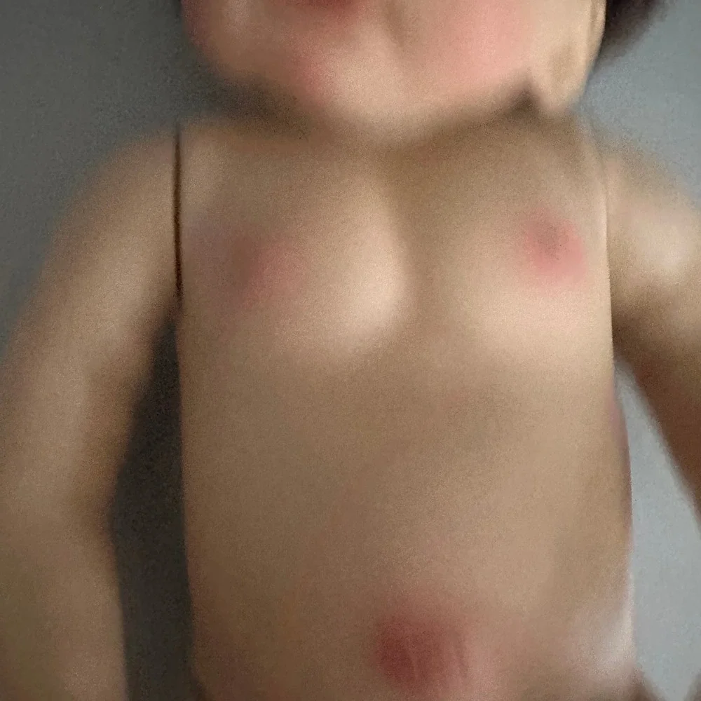 N/A lifelike reborn